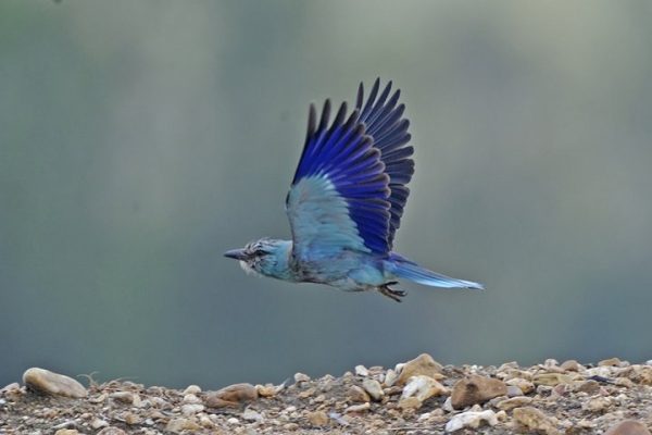 Finca El Azahar - Casa Rural en Trujillo